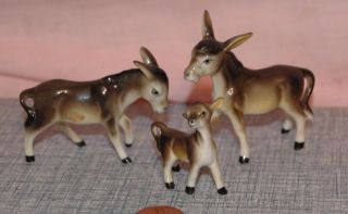 Vintage Donkey Burro Family 3 Miniature Bone China Trio of Tiny
