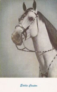 Eddie Cantorartist Horse Vintage Pretty Postcard