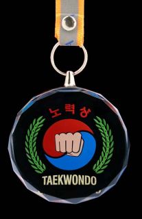 Korea Taekwondo Medal Crystal 9 Variety TKD WTA Gym Training