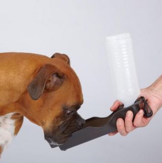 Dog Drinking From Golds Gym Handi Drink Water Bottle for Dogs