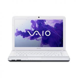 Sony VAIO 14 Intel Core i5 Laptop with HDMI Cable, Song Downloads and