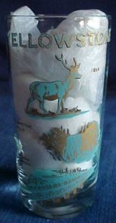  National Park Drinking Water Glass Souvenir Bear Elk