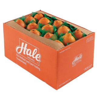 Hale Groves Fine Florida Honeybell Citrus Double Tray   AutoShip at