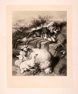 1876 Heliogravure Edwin Landseer Wildlife Art Protective Dogs Mountain