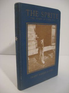 1924 The Sprite The Story of A Red Fox Illustrated