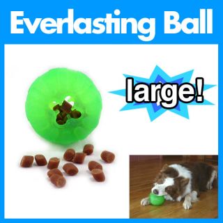 Everlasting Fun Ball Dog Toy Treat StarMark MD LG Size