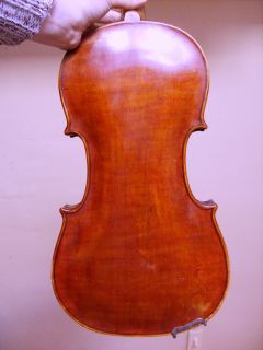 Old Violin Italian Label Gioacchino Trotto