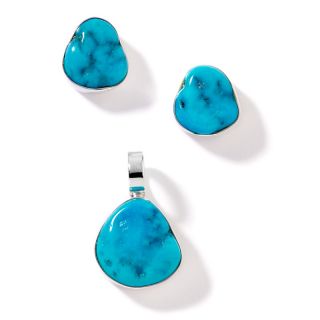 Jewelry Pendants Gemstone Jay King Sleeping Beauty Turquoise 2pc