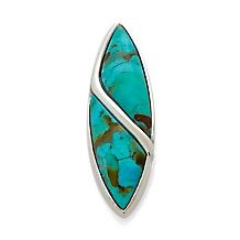 Jay King Sonoran Turquoise Sterling Silver Earrings