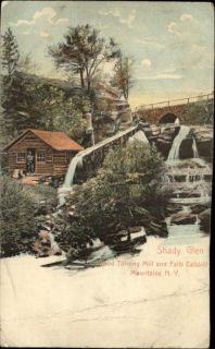 Shady Glen Wood Turning Mill Falls Catskill Mtns NY c1910 Postcard