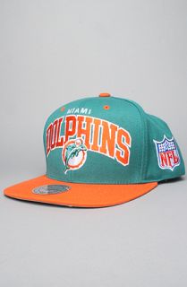 Mitchell & Ness The NFL Arch Snapback Hat in Green Orange  Karmaloop