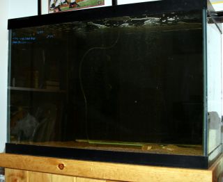 65 Gallon Fish Tank Aquarium Reef Ready Stand