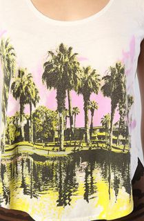 Chaser The Palms Swing Tank Concrete Culture