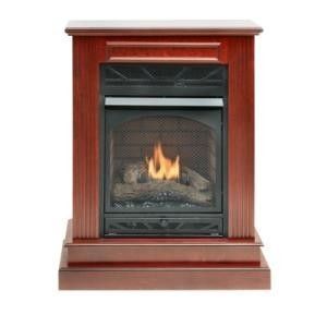 Charleston Forge Vent Compact Natural Gas Fireplace 21