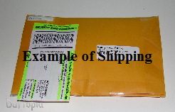 us an example of media mail parcel first class and  when