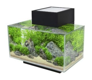 New Black Fluval Edge  Light Fixture and Filter not included