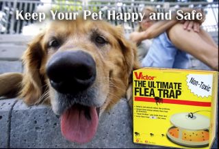 New Victor M230 Ultimate Dog Cat Flea Trap Non Poisonous Odorless Free