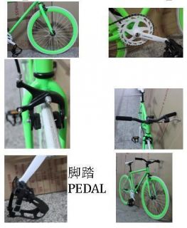 Fixed Gear Bike Best Quality with CE Certificate