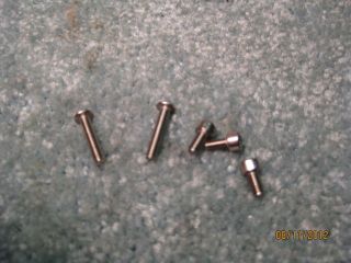 Kramer Floyd Rose® Stainless Steel Lock Nut Screw Set 5