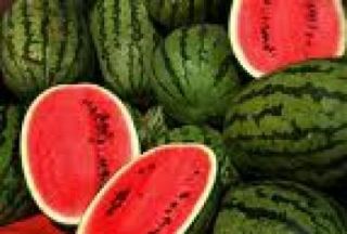  time a day thai black skinned watermelon 70 heirloom fruit seed