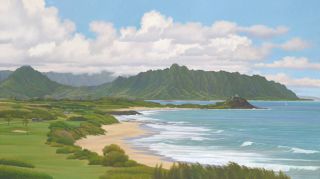 Hawaiiana Print Kaneohe Klipper  by Gary Reed