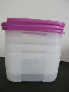 Tupperware Freezer Mates Small 4pc Freezesmart Set w Purple Pink Seals