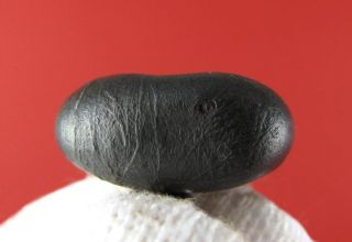 Geoff of Meteorite Men Sikhote Alin Oriented Bullet