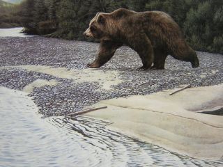 Ron Van Gilder Safe Crossing Brown Bear Ed Print