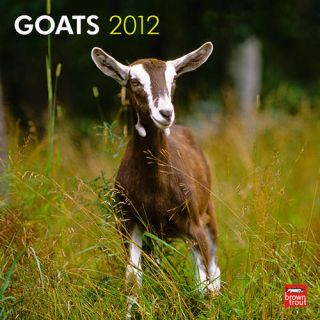 Goats 2012 Wall Calendar