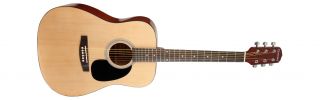 Giannini GSFX 41 Natural Acoustic Guitar