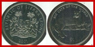 Sierra Leone 2001 Dollar Cougar Crown Size Uncirculated