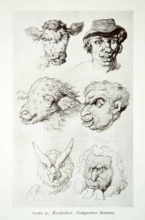 1946 Print Comparative Anatomy Cow Sheep Owl Man Portrait Thomas