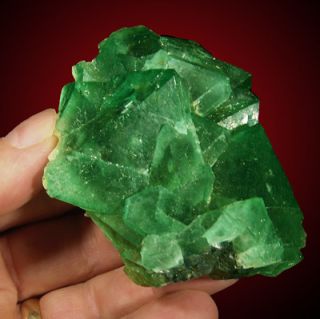 Green Fluorite Octahedral Crystals Orangeriversa
