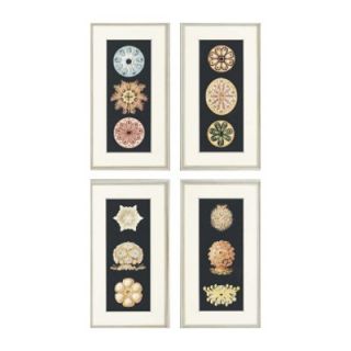  Anemones by Unknown Waterfront Art (Set of 4)   27 x 15