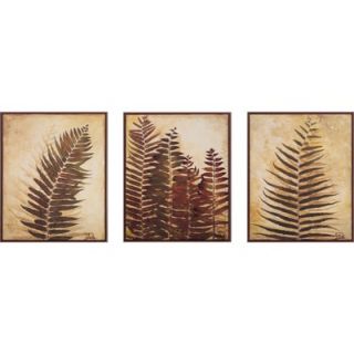 Propac Images Ferns I and II and III Print Set   17 x 21