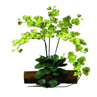 Nearly Natural Phalaenopsis Stem in Green (Set of 12)   2044 GR 12