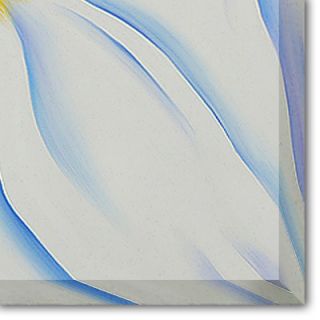  White Flower   1929 Canvas Art by Georgia OKeeffe Modern   31 X 27