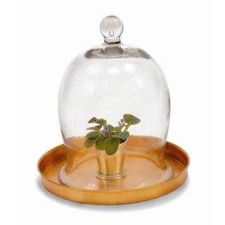 ACHLA Small Bell Jar