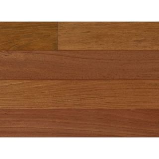 IndusParquet 6 1/4 Engineered Hardwood Brazilian Cherry  