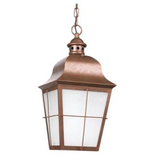  Hanging Lantern in Weathered Copper   Energy Star   69272PBLE 44