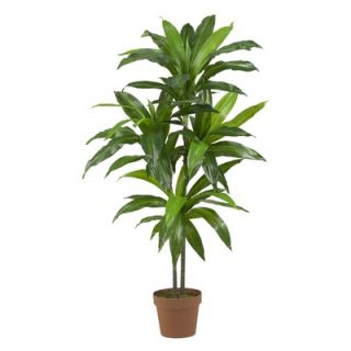 Nearly Natural 48 Dracaena Silk Plant (Real Touch)