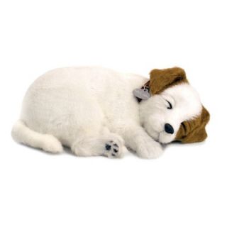 Perfect Petzzz Jack Russell Soft Toy