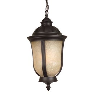 Outdoor Hanging Lantern in Oiled Bronze   Energy Star   Z6111 92 NRG
