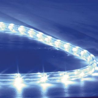 American Lighting LLC Flexbrite Rope Light in Warm White   LED 4WR