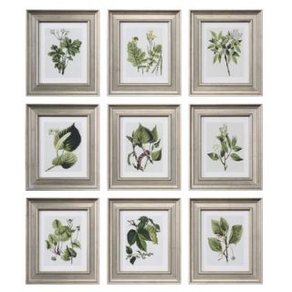 Uttermost Leaf Botanical Study Framed Print Set