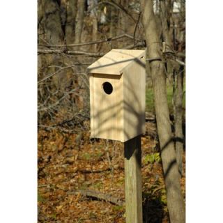 Heartwood Screech Owl Bird House