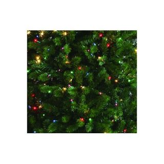 Vickerman 7 Prelit Colorado Spruce Artificial Christmas Tree