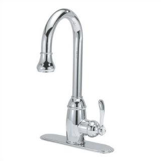 Belle Foret Single Handle Centerset Pull Down Kitchen Faucet with