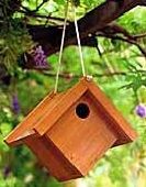 bird feeder bird table bird house guidance bluebird house plans bird
