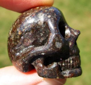 Meteorite Crystal Skull Stony Iron Space Rock Chile Highly Detailed
